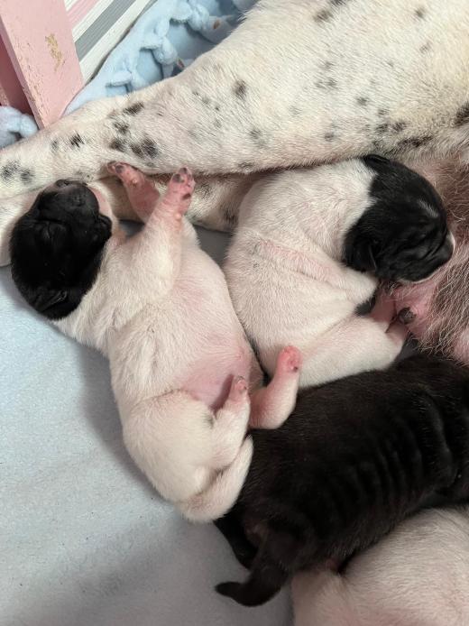 WhatsApp Bild 2025-06-08 um 14.27.33_b0736a1c