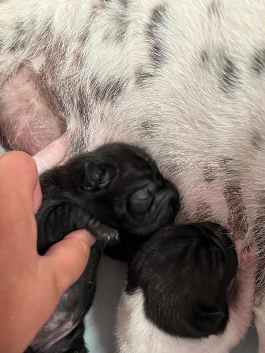 WhatsApp Bild 2025-06-08 um 14.27.34_33a9cca0