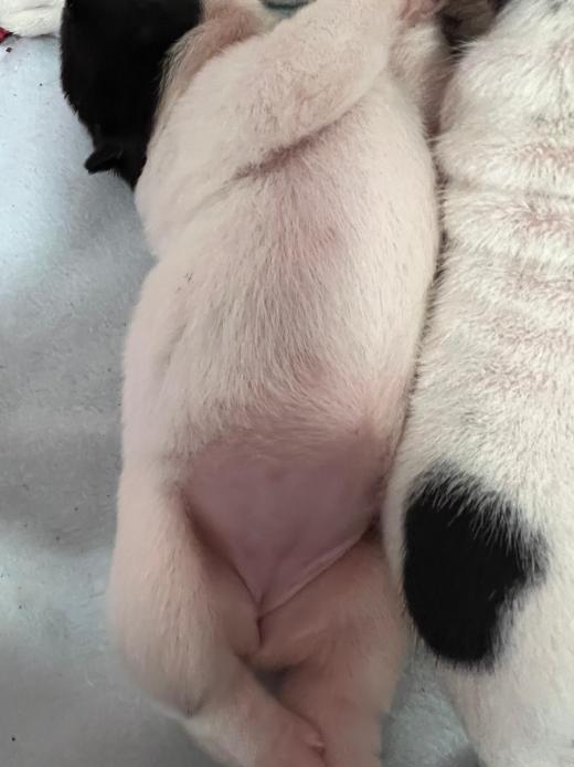 WhatsApp Bild 2025-06-08 um 14.27.34_b5f3d25f