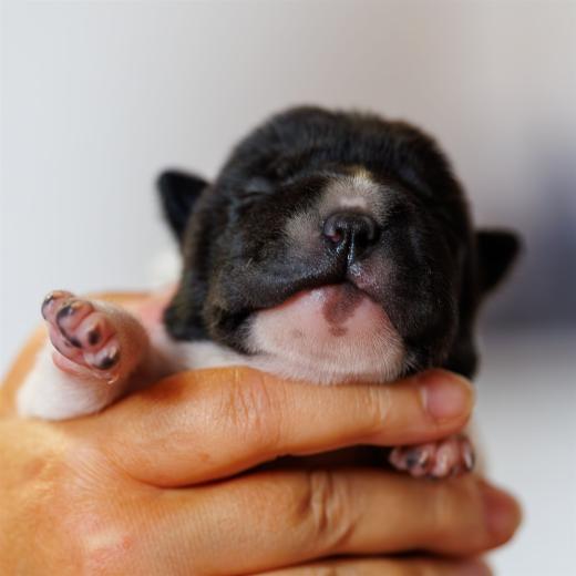 2025-06-09-13-04-37-EOS R6m2-6129-Verbessert-RR