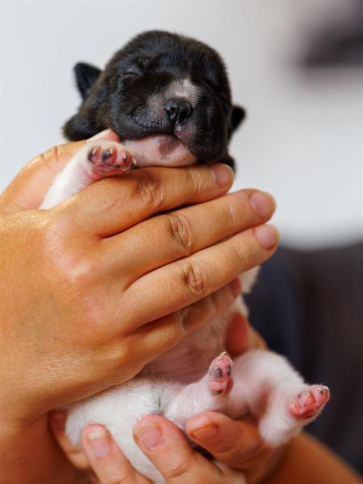 2025-06-09-13-04-51-EOS R6m2-6134-Verbessert-RR