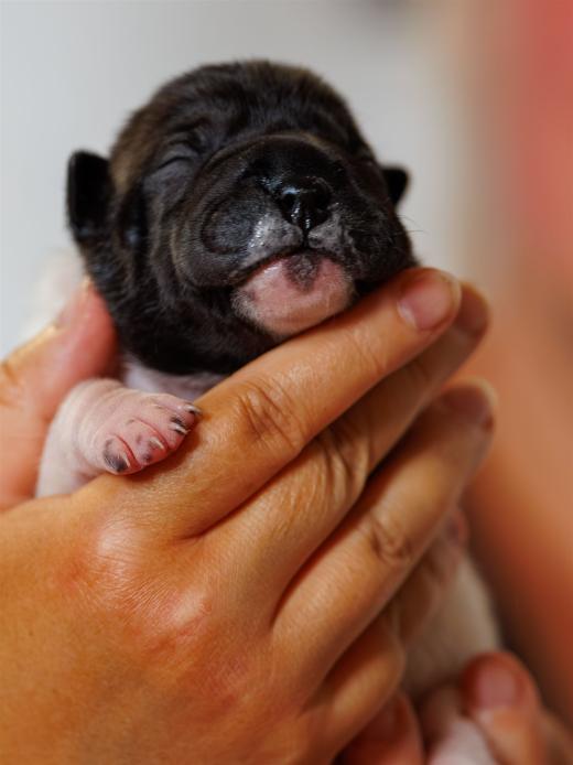 2025-06-09-13-05-22-EOS R6m2-6144-Verbessert-RR