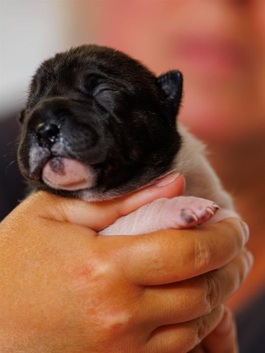 2025-06-09-13-05-26-EOS R6m2-6148-Verbessert-RR