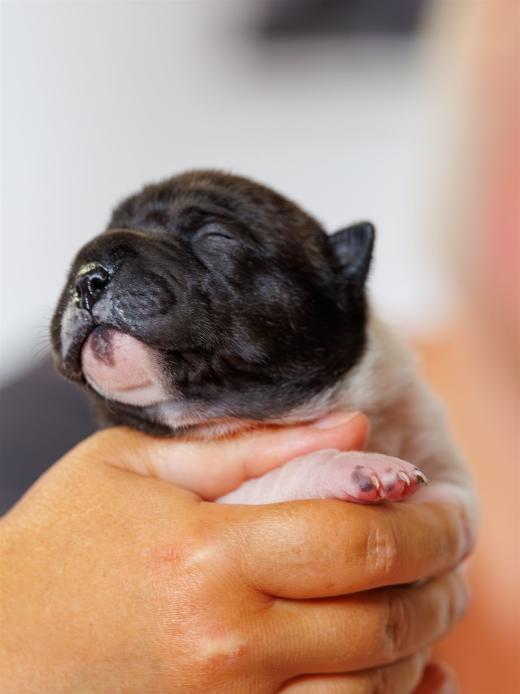 2025-06-09-13-05-29-EOS R6m2-6150-Verbessert-RR