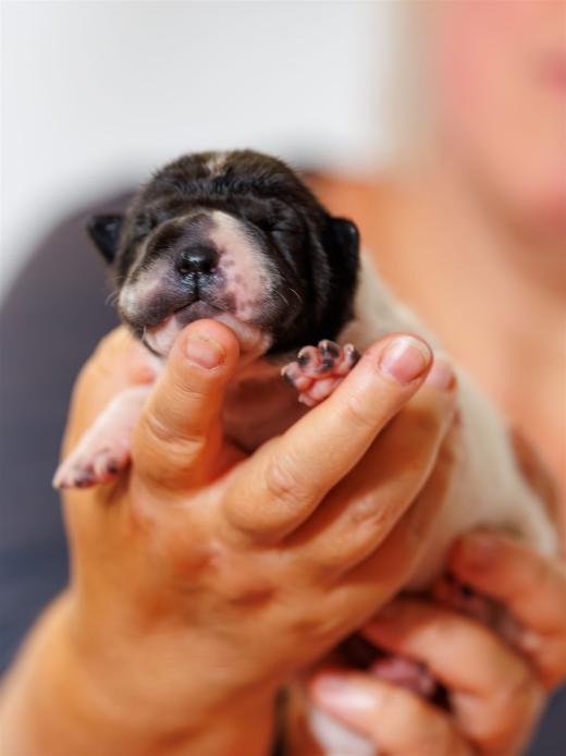 2025-06-09-13-05-45-EOS R6m2-6153-Verbessert-RR