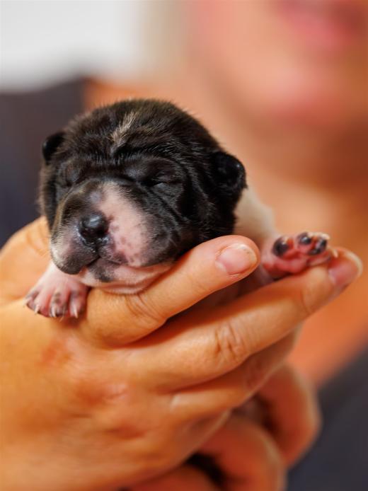 2025-06-09-13-05-46-EOS R6m2-6155-Verbessert-RR