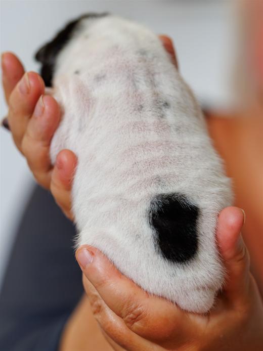 2025-06-09-13-05-50-EOS R6m2-6162-Verbessert-RR