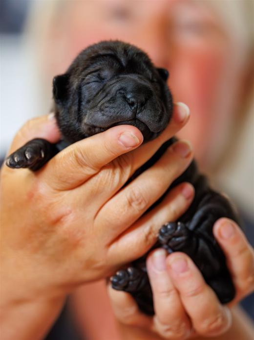 2025-06-09-13-06-09-EOS R6m2-6175-Verbessert-RR