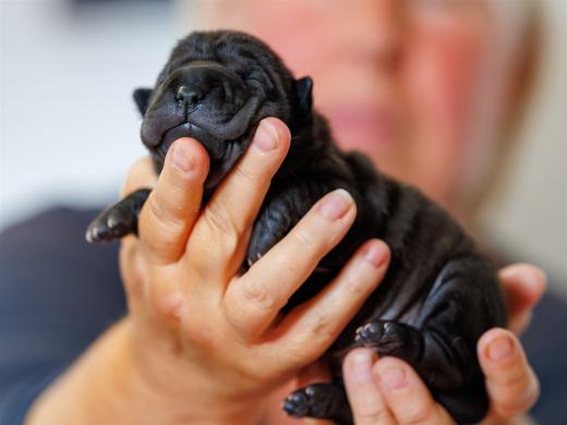 2025-06-09-13-06-12-EOS R6m2-6180-Verbessert-RR