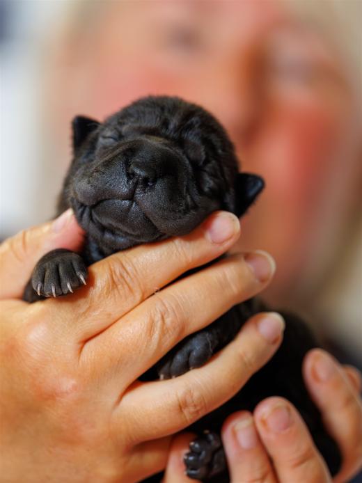 2025-06-09-13-06-19-EOS R6m2-6192-Verbessert-RR