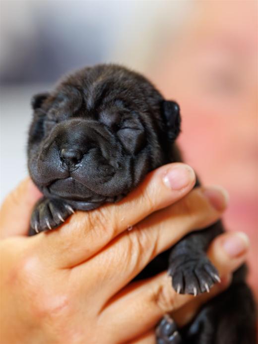 2025-06-09-13-06-24-EOS R6m2-6195-Verbessert-RR