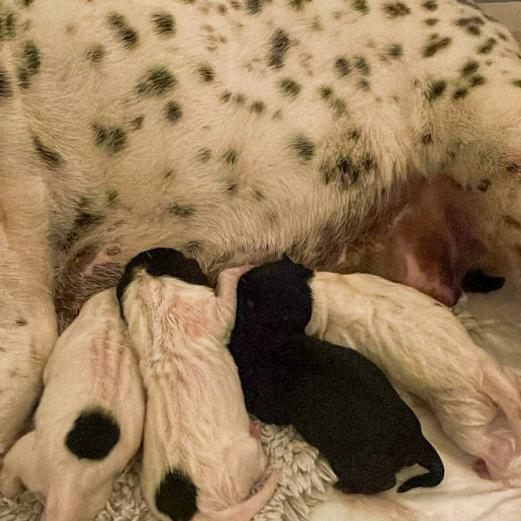 WhatsApp Bild 2025-06-02 um 04.58.09_f915bd1d-2