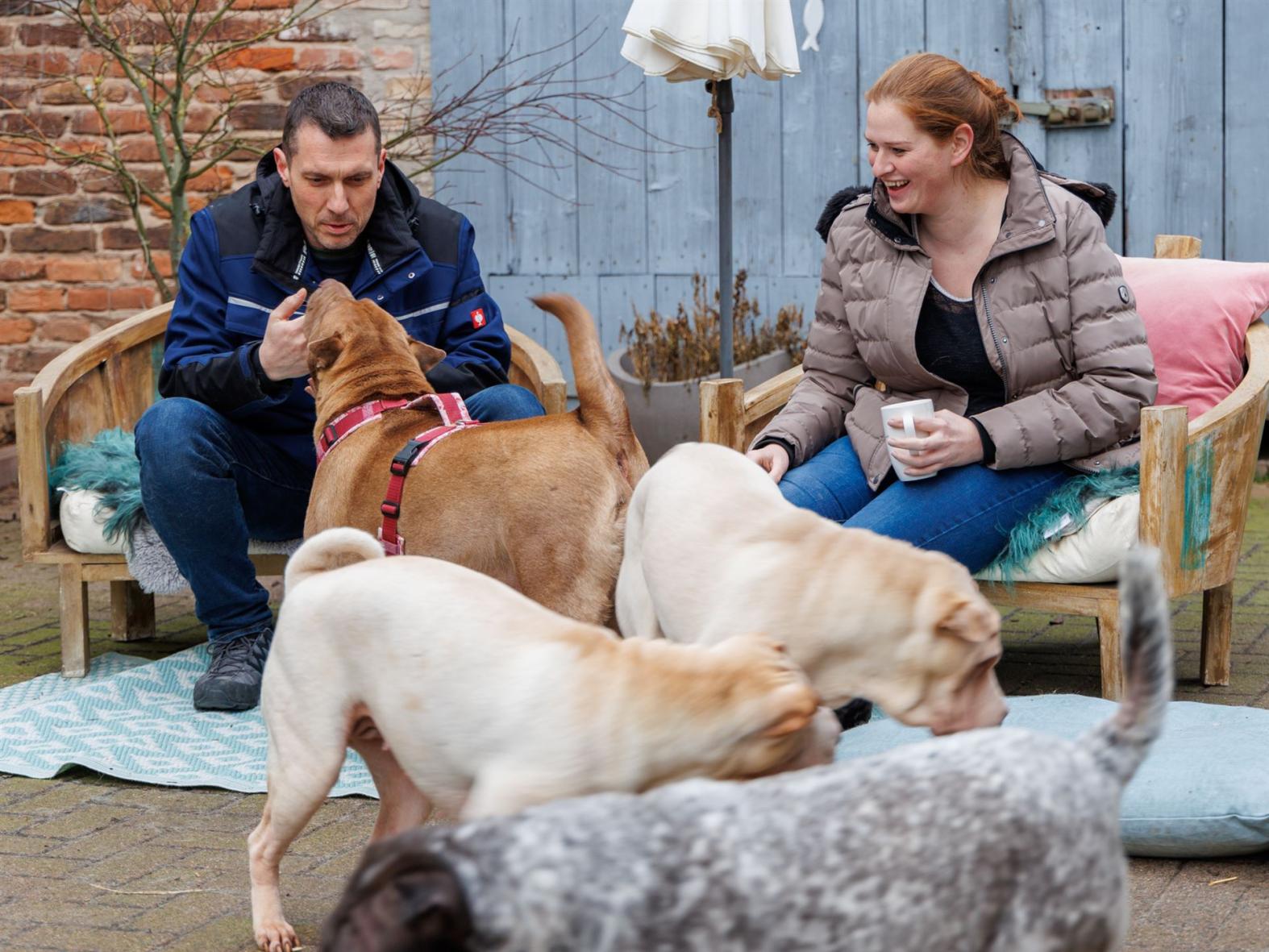 Besucher lernen das Rudel kennen