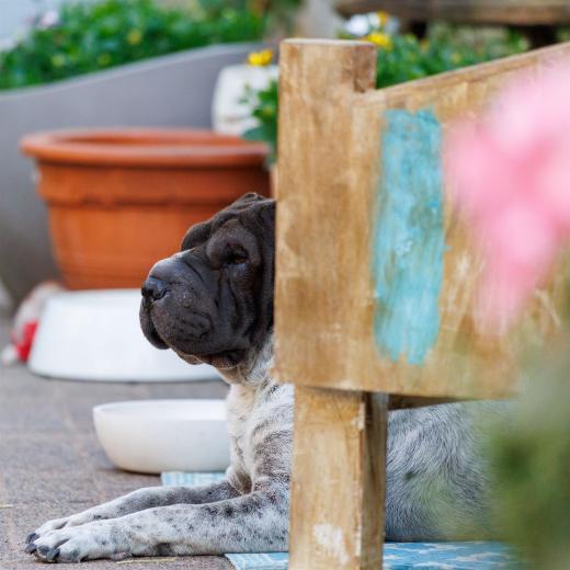 2023-06-17-17-53-33-EOS R6m2-2263_2048px