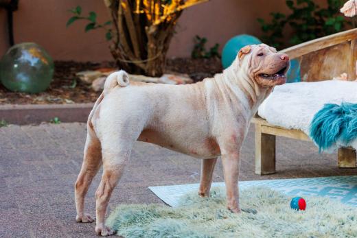 2023-06-24-20-23-42-EOS R6-1844_2048px