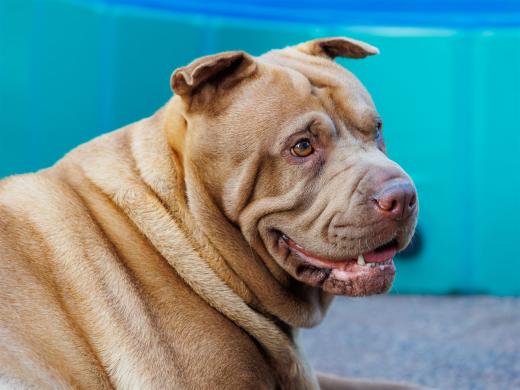 2023-06-24-20-24-05-EOS R6-1857-Verbessert-RR_2048px