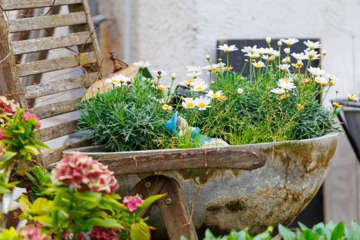 2023-08-05-18-44-53-EOS R6m2-2312-Verbessert-RR