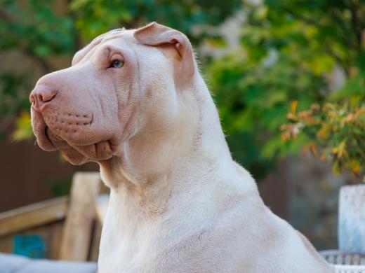 2023-08-10-18-10-31-EOS R7-4995-Verbessert-RR