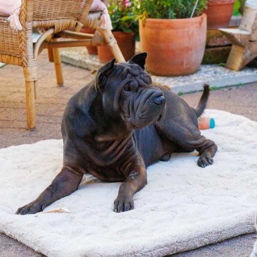 2023-08-10-18-18-44-EOS R7-5001