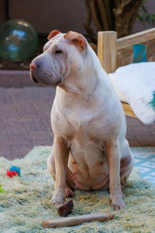 2023-08-10-18-30-59-EOS R7-5019