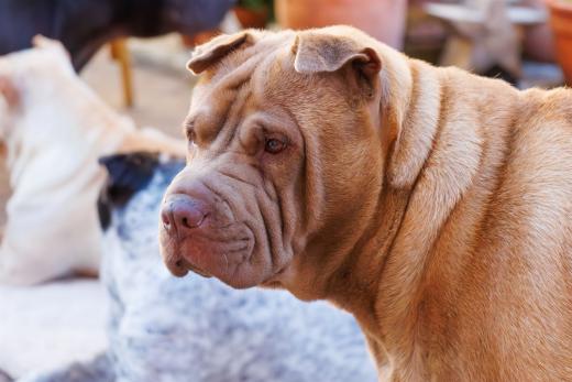 2023-08-10-18-36-01-EOS R7-5031-Verbessert-RR