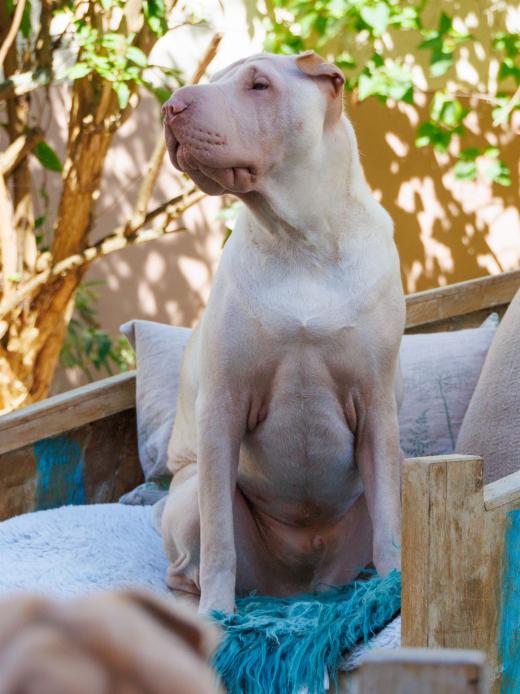 2023-08-11-15-50-10-EOS R7-5047