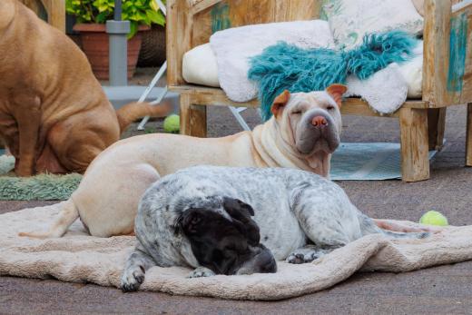 2023-08-11-18-20-41-EOS R6-1905