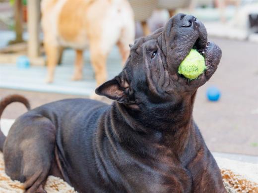 2023-08-11-18-21-44-EOS R6-1919