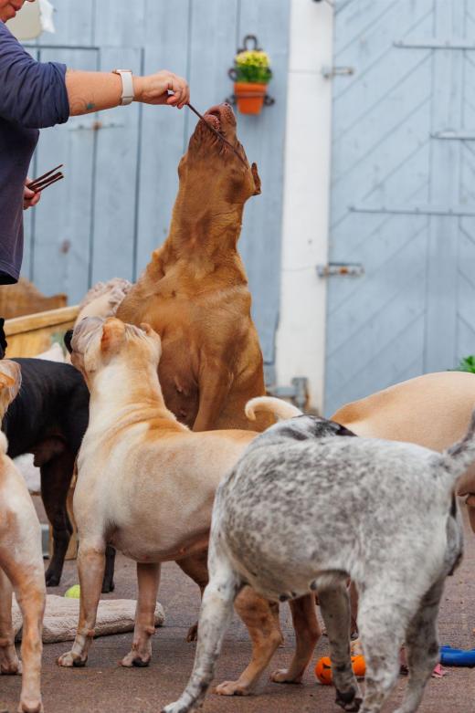 2023-08-11-18-25-24-EOS R6-1951