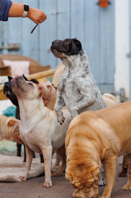 2023-08-11-18-25-56-EOS R6-1953