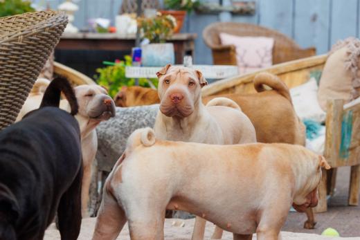 2023-08-11-18-26-38-EOS R6-1972