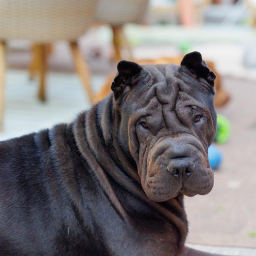 2023-08-11-18-29-52-EOS R6-1978