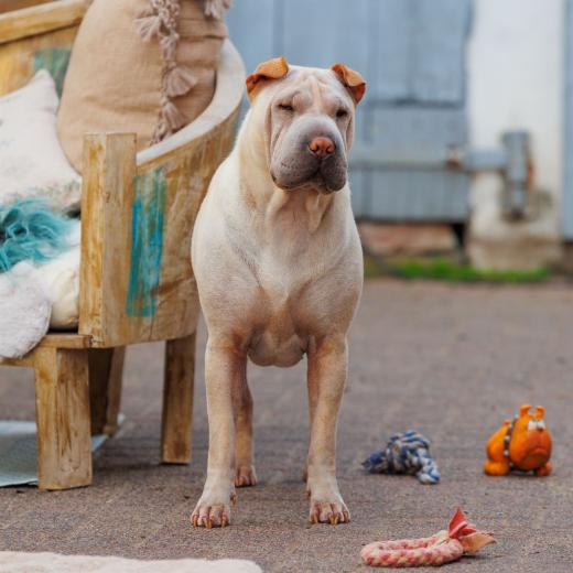 2023-08-11-18-35-28-EOS R6-1991