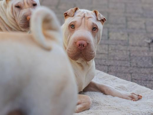 2023-08-12-16-08-47-EOS R7-5117_2048px