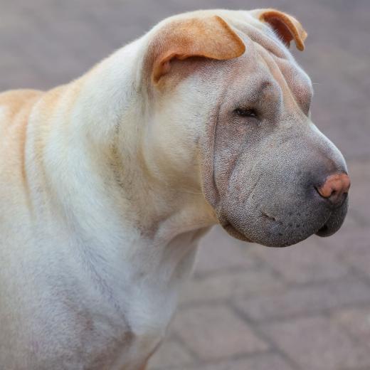 2023-08-12-16-16-41-EOS R7-5122_2048px