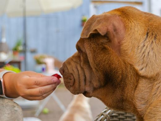 2023-08-12-16-18-00-EOS R7-5132_2048px