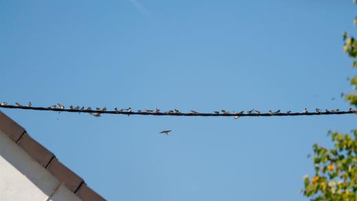 2023-08-18-13-03-50-EOS R7-5202_2048px