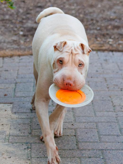 2023-08-18-19-36-12-EOS R7-5217-Verbessert-RR_2048px