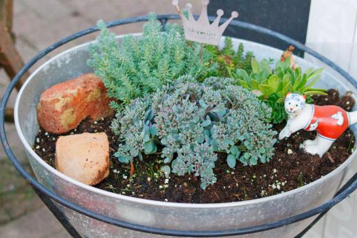 2023-08-18-19-51-26-EOS R7-5227_2048px