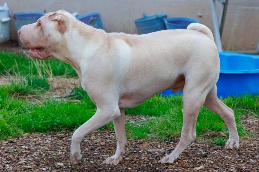 2023-08-18-19-51-37-EOS R7-5229-Verbessert-RR_2048px