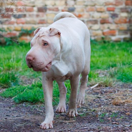 2023-08-18-19-55-22-EOS R7-5239-Verbessert-RR_2048px