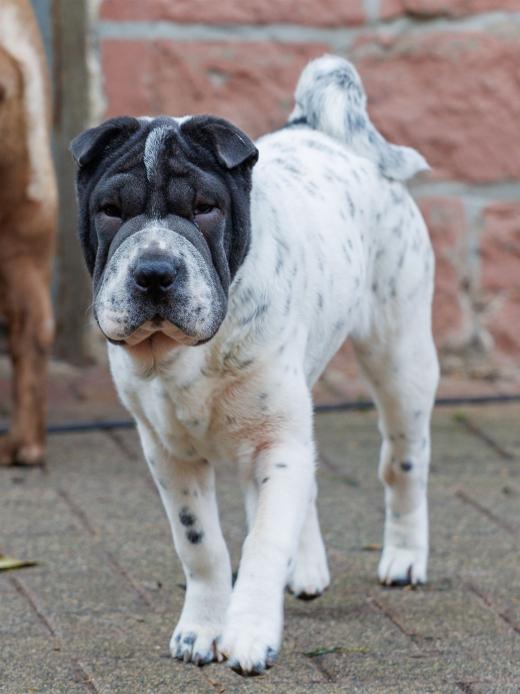 2023-12-17-14-01-24-EOS R6m2-3343_2048px