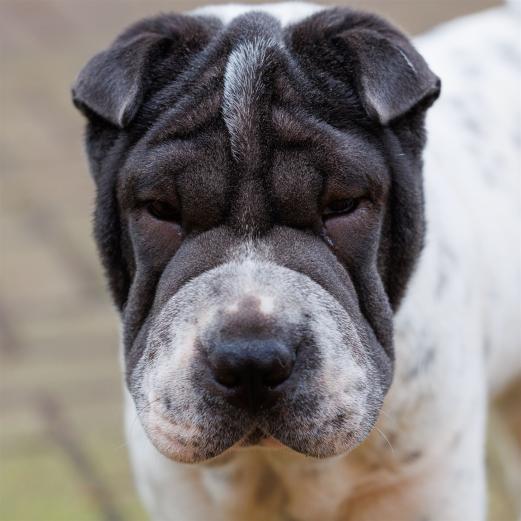 2023-12-17-14-01-44-EOS R6m2-3347_2048px