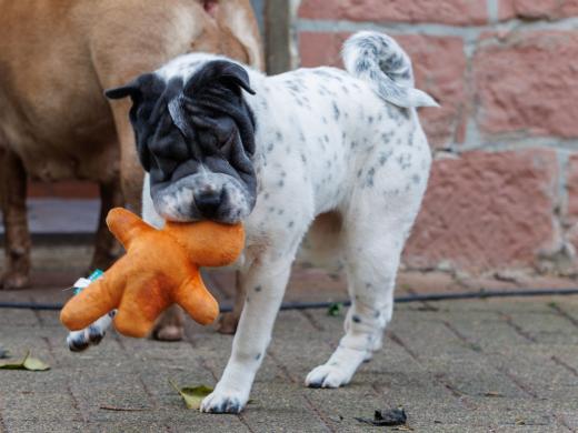 2023-12-17-14-01-58-EOS R6m2-3348_2048px