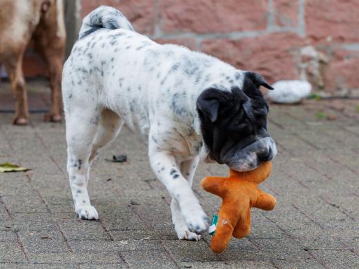 2023-12-17-14-01-59-EOS R6m2-3351_2048px