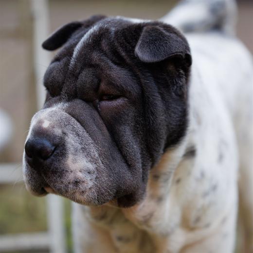 2023-12-17-14-05-10-EOS R6m2-3375_2048px