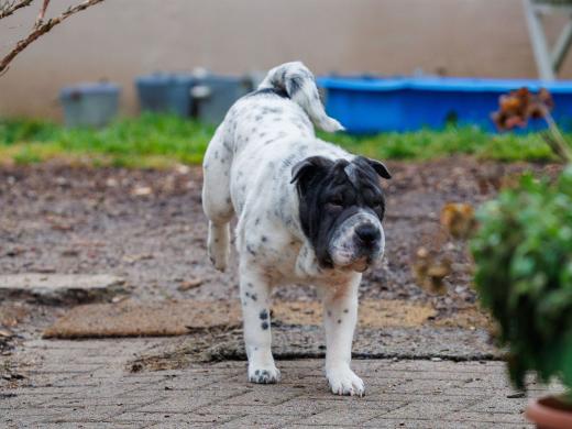 2023-12-17-14-08-47-EOS R6m2-3387_2048px