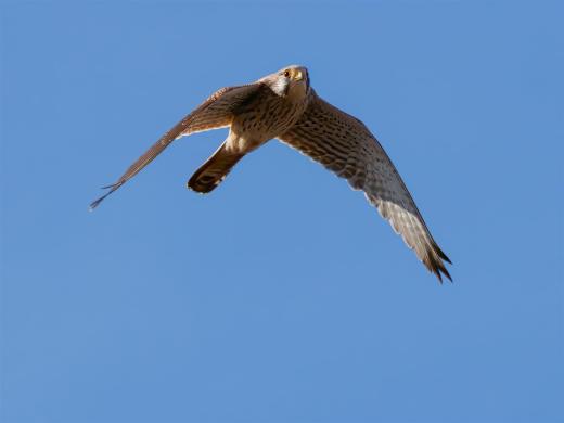 2024-03-03-12-50-40-EOS R7-5397-Bearbeitet_2048px