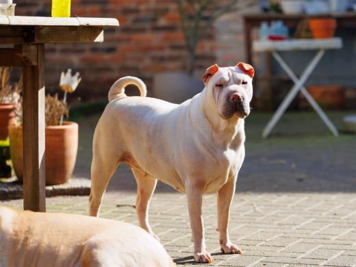 2024-03-03-12-56-51-EOS R6-2069_2048px