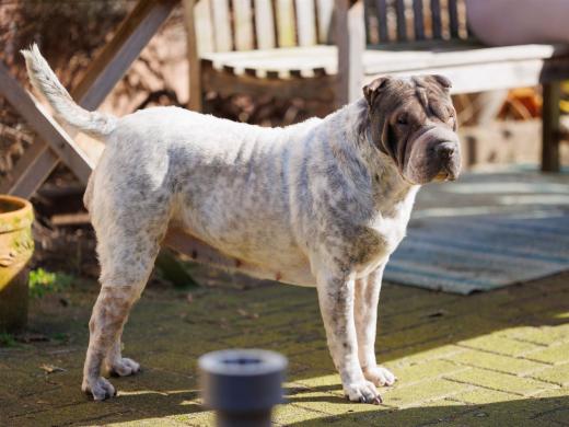 2024-03-03-12-58-20-EOS R6-2099_2048px